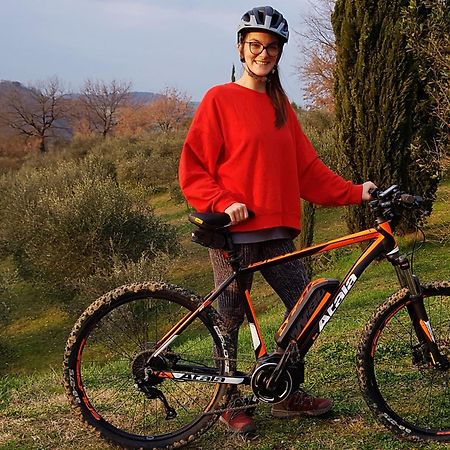 Agriturismo Bio Tra Cielo E Terra Apartman Grutti Kültér fotó