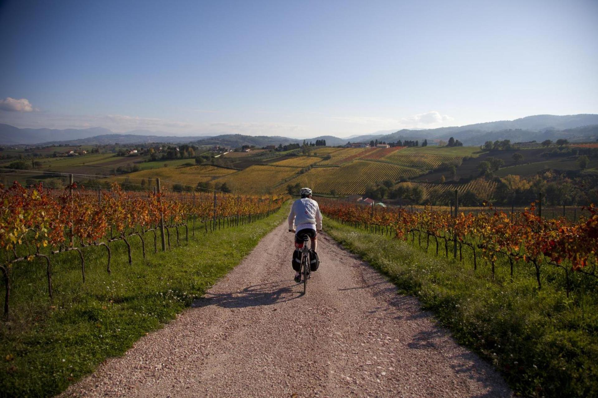 Agriturismo Bio Tra Cielo E Terra Apartman Grutti Kültér fotó