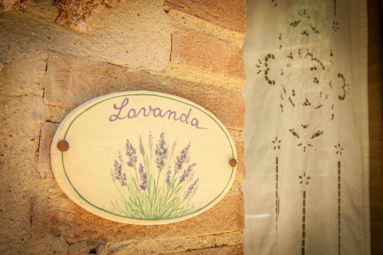 Agriturismo Bio Tra Cielo E Terra Apartman Grutti Kültér fotó