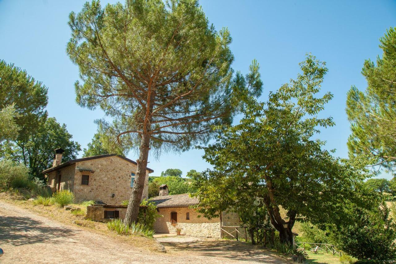 Agriturismo Bio Tra Cielo E Terra Apartman Grutti Kültér fotó