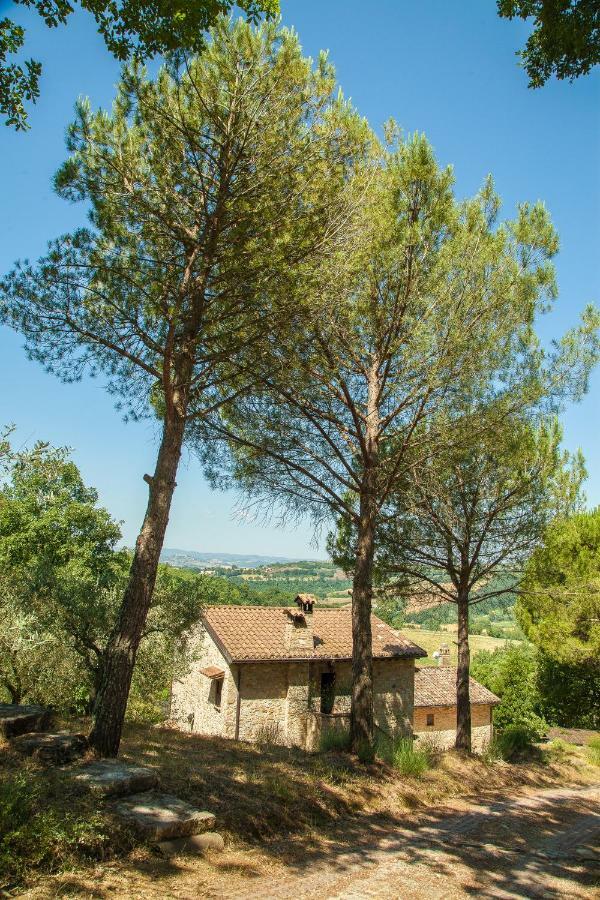 Agriturismo Bio Tra Cielo E Terra Apartman Grutti Kültér fotó