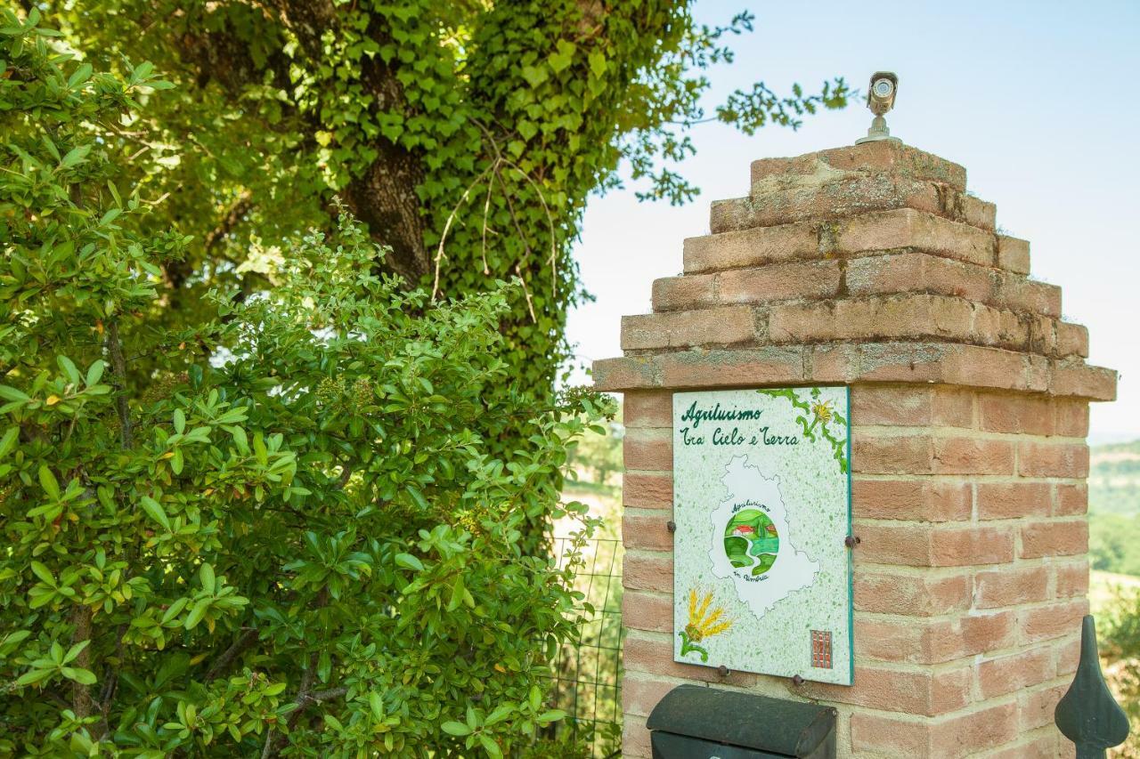 Agriturismo Bio Tra Cielo E Terra Apartman Grutti Kültér fotó